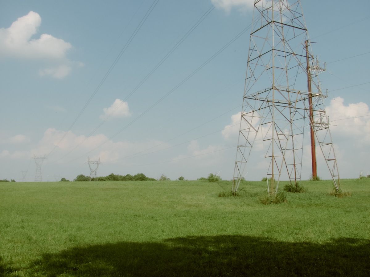 blog 5 image