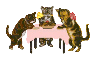 cats