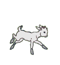 running goat